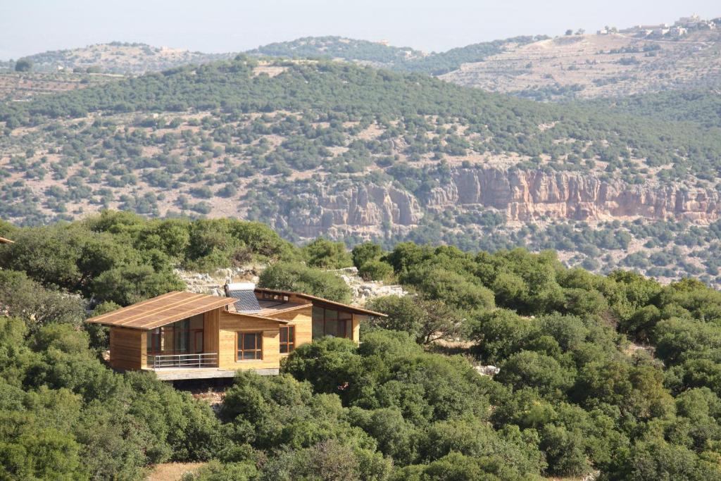Where to Stay in Ajloun: Accommodation Guide