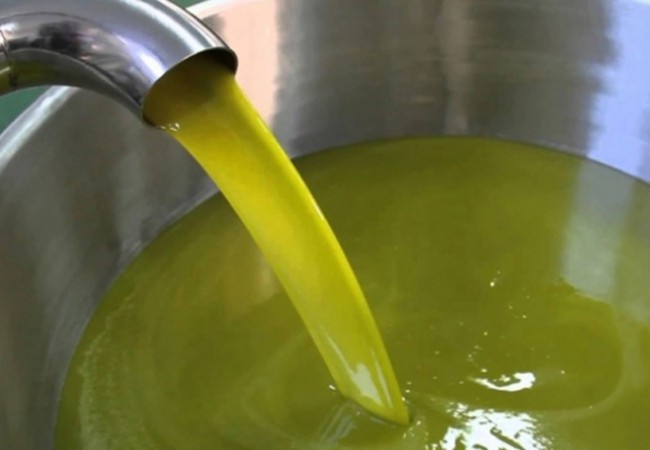 Traditional Olive Oil Production in Ajloun