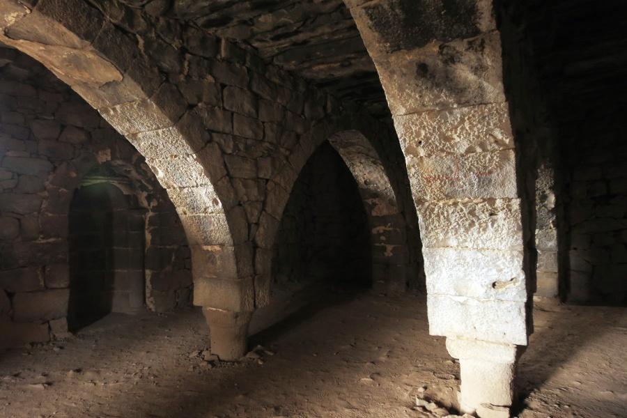 The Restoration Story: How Azraq Wetland is Being Saved