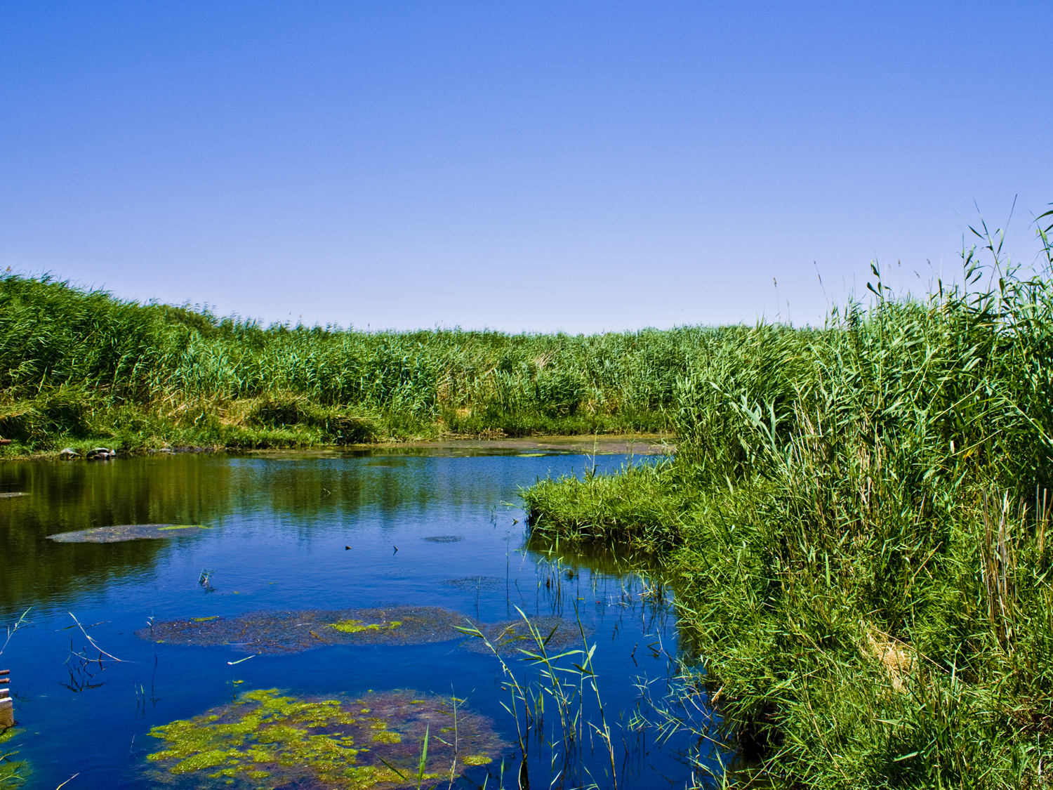 Water Crisis and Conservation in Jordan: The Azraq Story