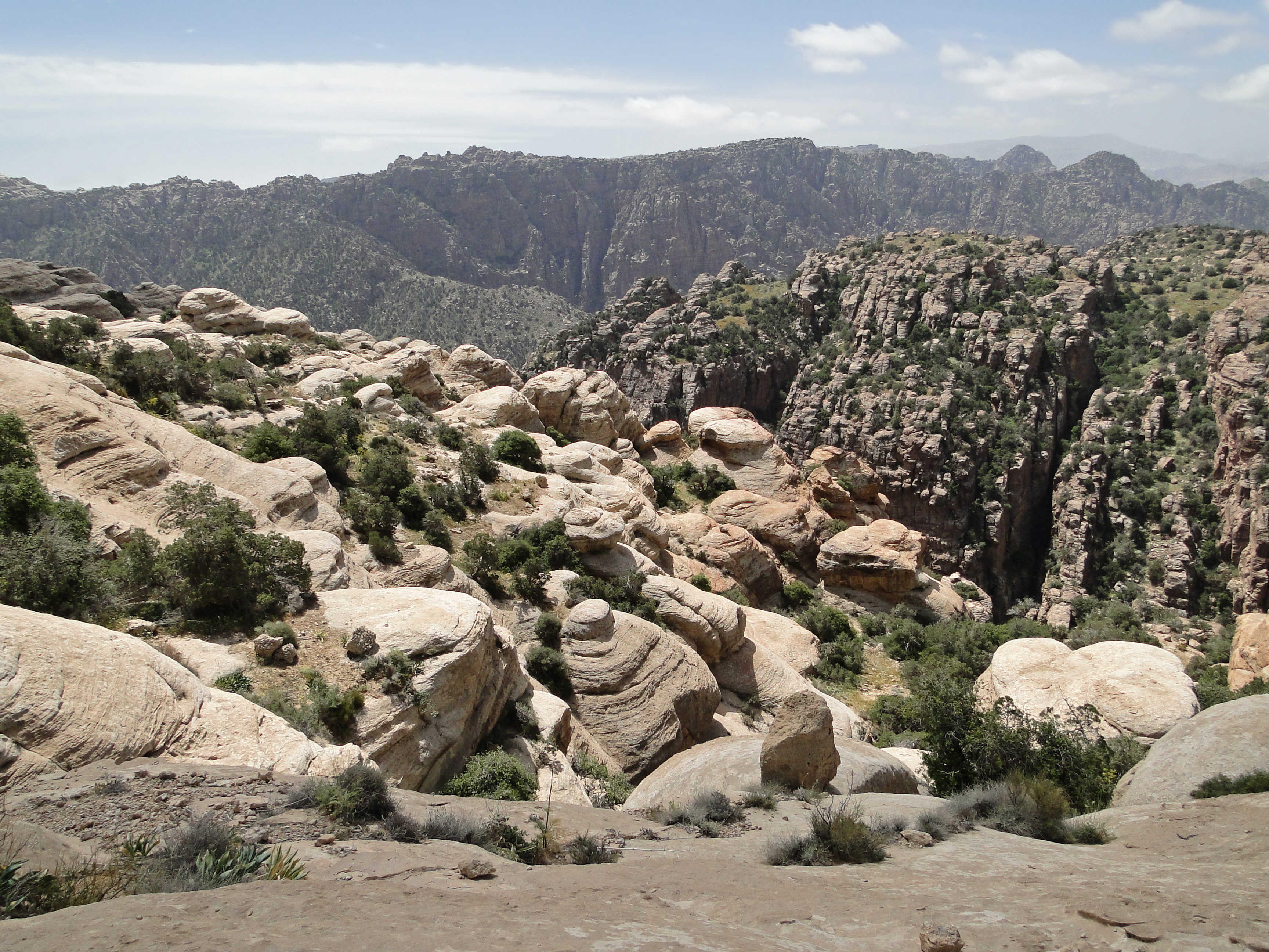 Conservation Success: How Dana Protects Jordan's Natural Heritage