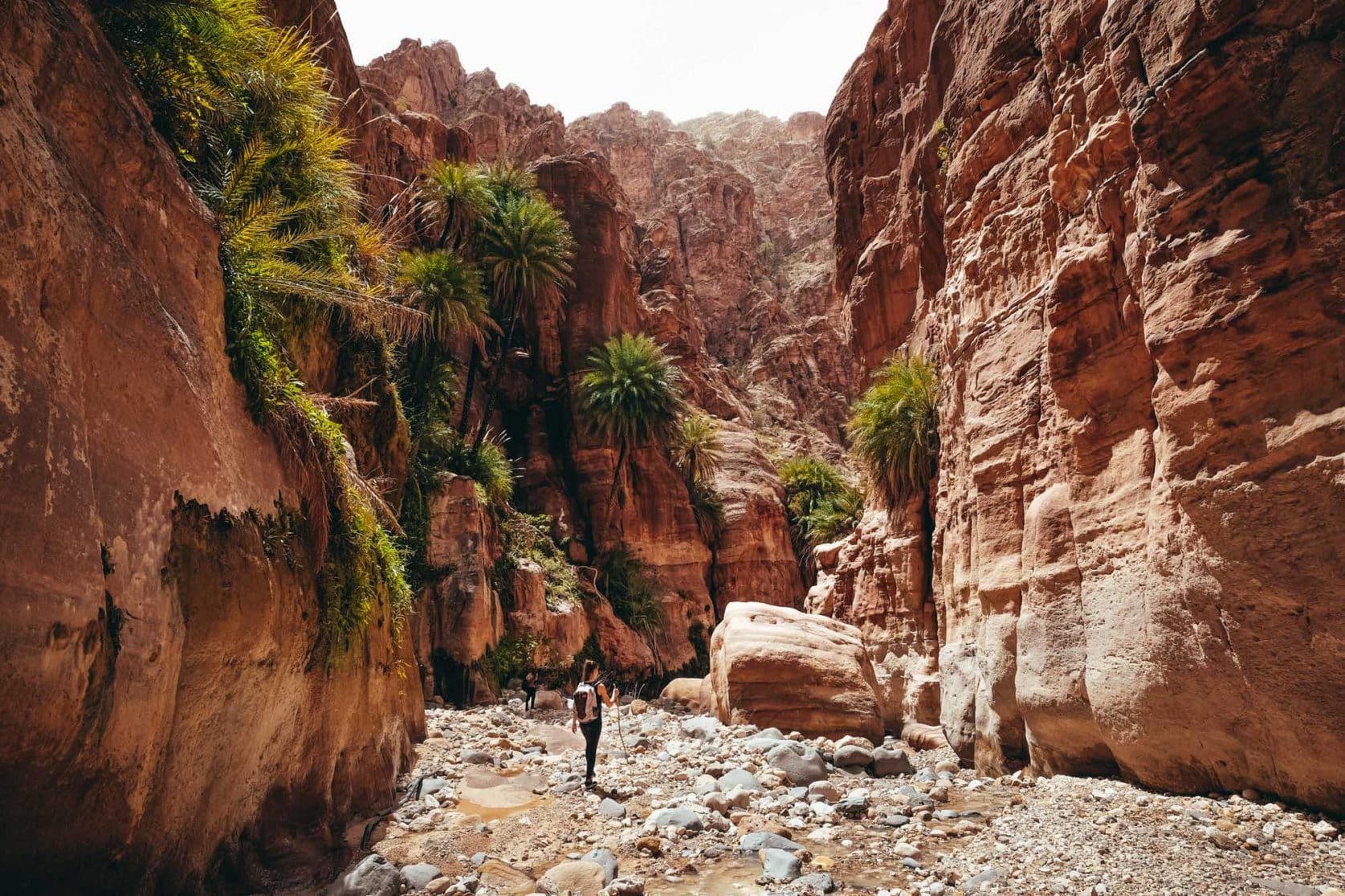 Hiking Trails in Dana: From Easy Walks to Epic Treks