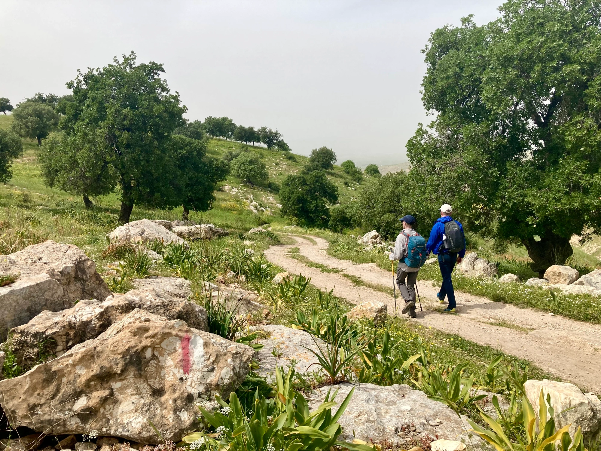 Hiking Trails Around Umm Qais: Nature and History Combined
